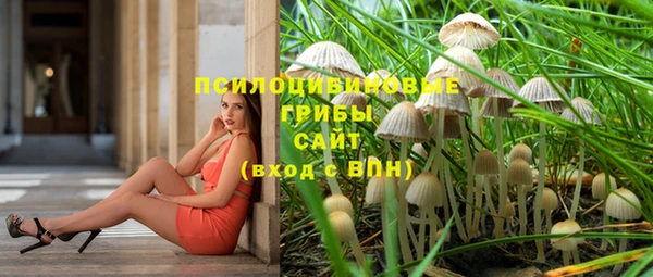 винт Алексин